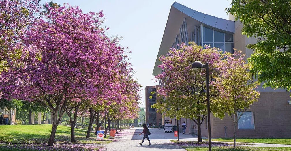 California State University Northridge Botanic Garden, United States